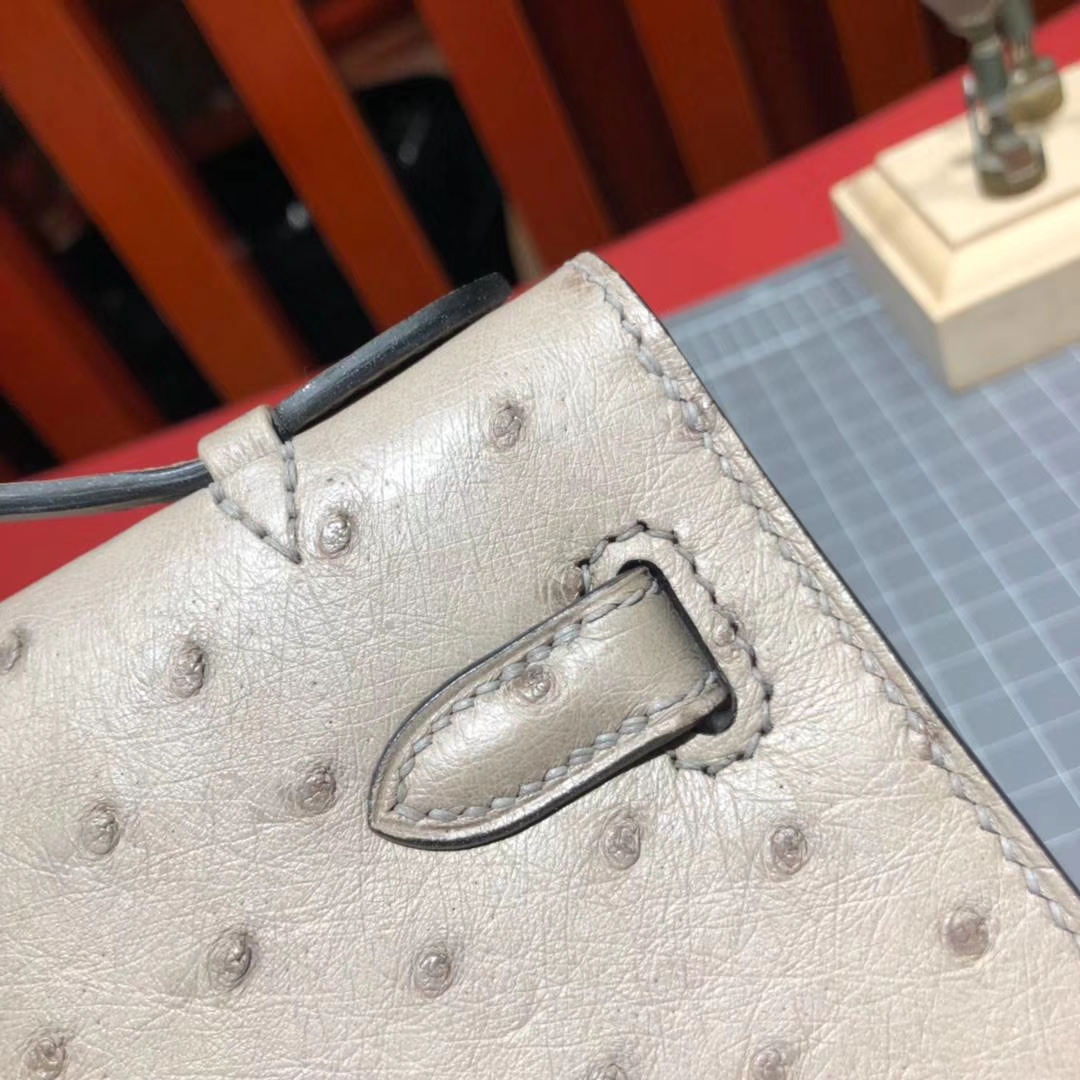 Hermes Minikelly Pochette22cm 爱马仕冰川灰顶级鸵鸟皮迷你凯莉包 金扣
