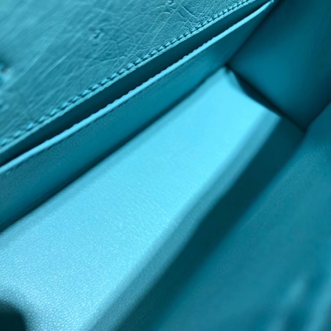 顶级工艺 Hermes爱马仕原厂鸵鸟皮Minikelly迷你凯莉包22cm 3P马卡龙蓝 金扣