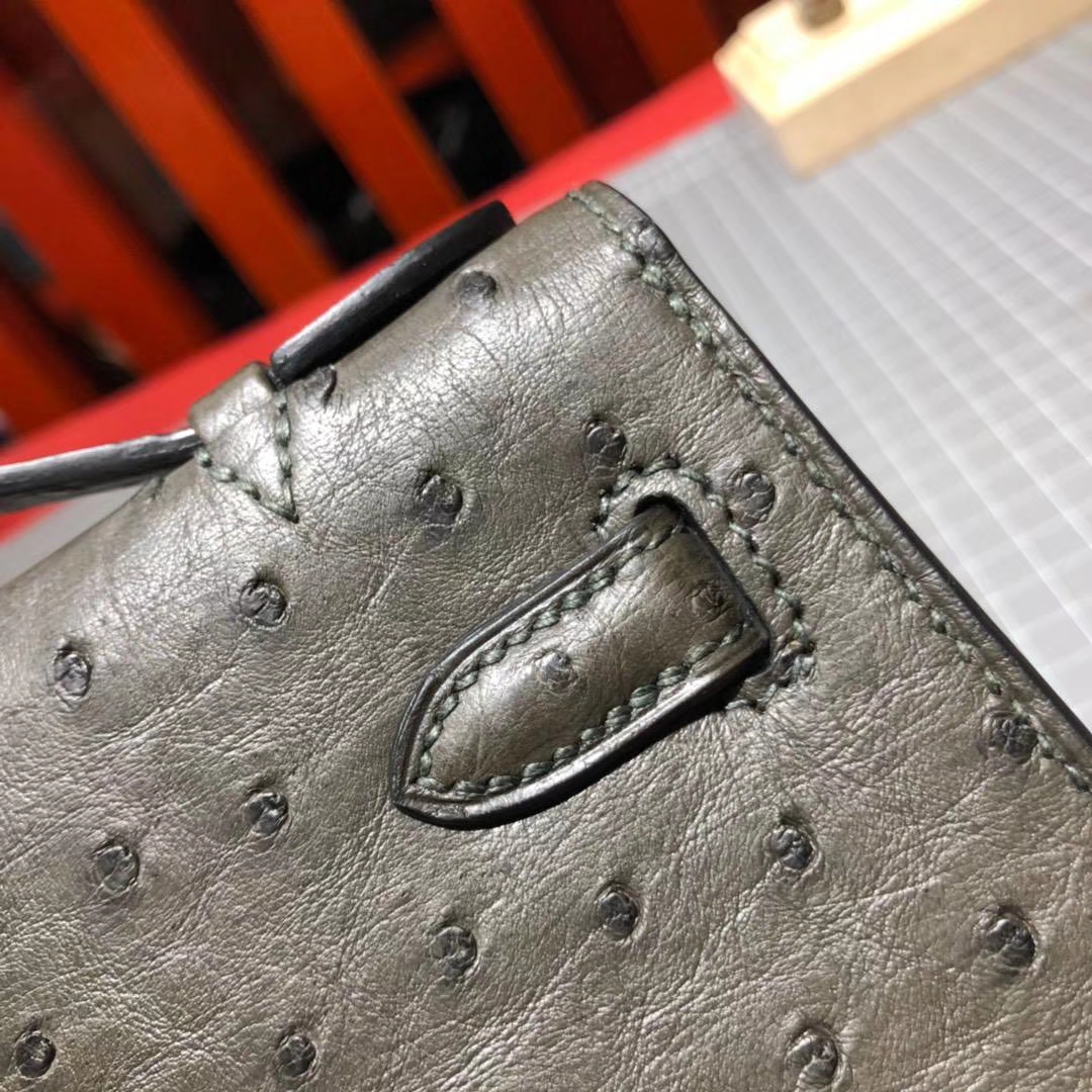 Hermes Minikelly22cm 爱马仕顶级鸵鸟皮迷你凯莉包晚宴包 铁灰色 金扣