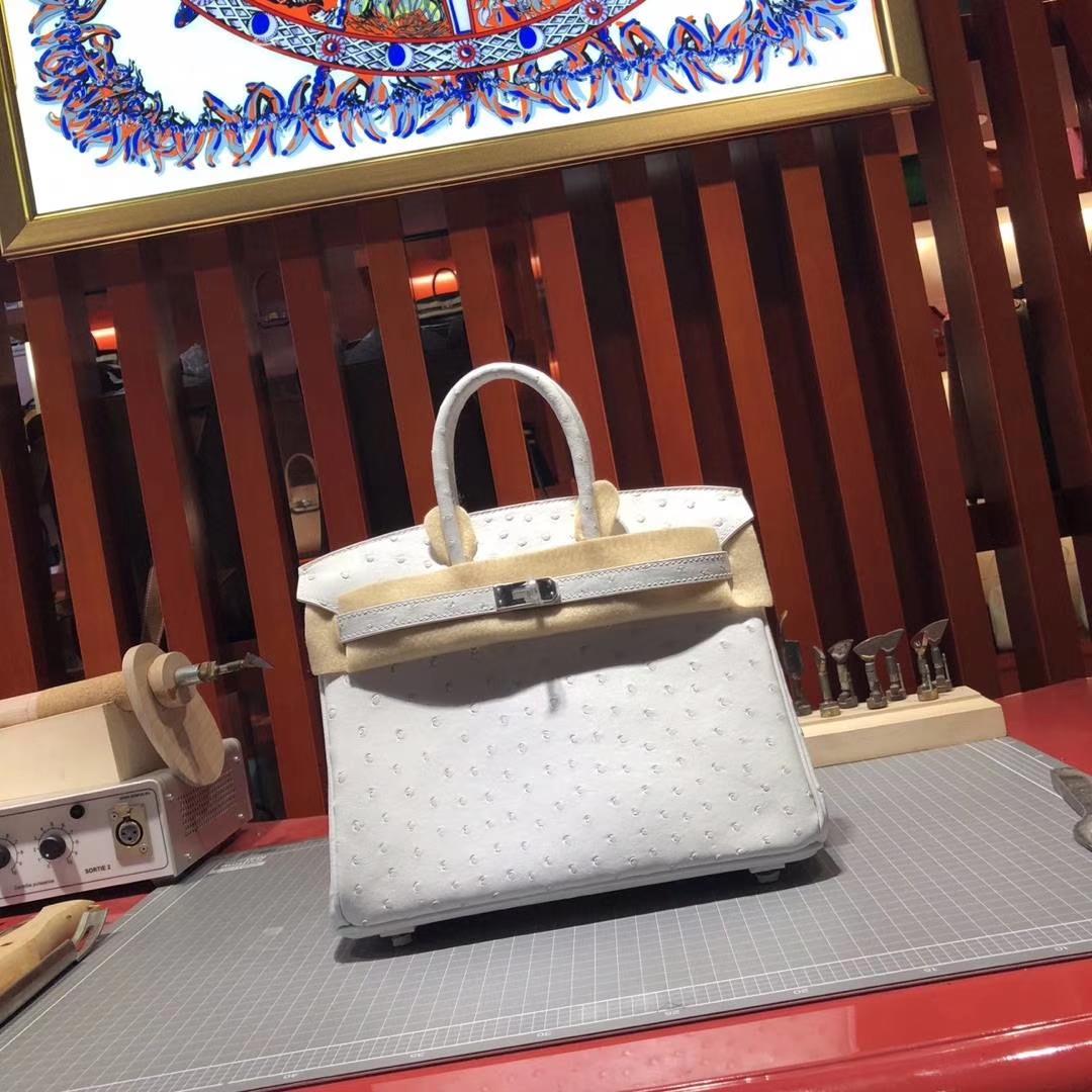Hermes Birkin25CM 爱马仕纯白色顶级KK鸵鸟皮铂金包 银扣