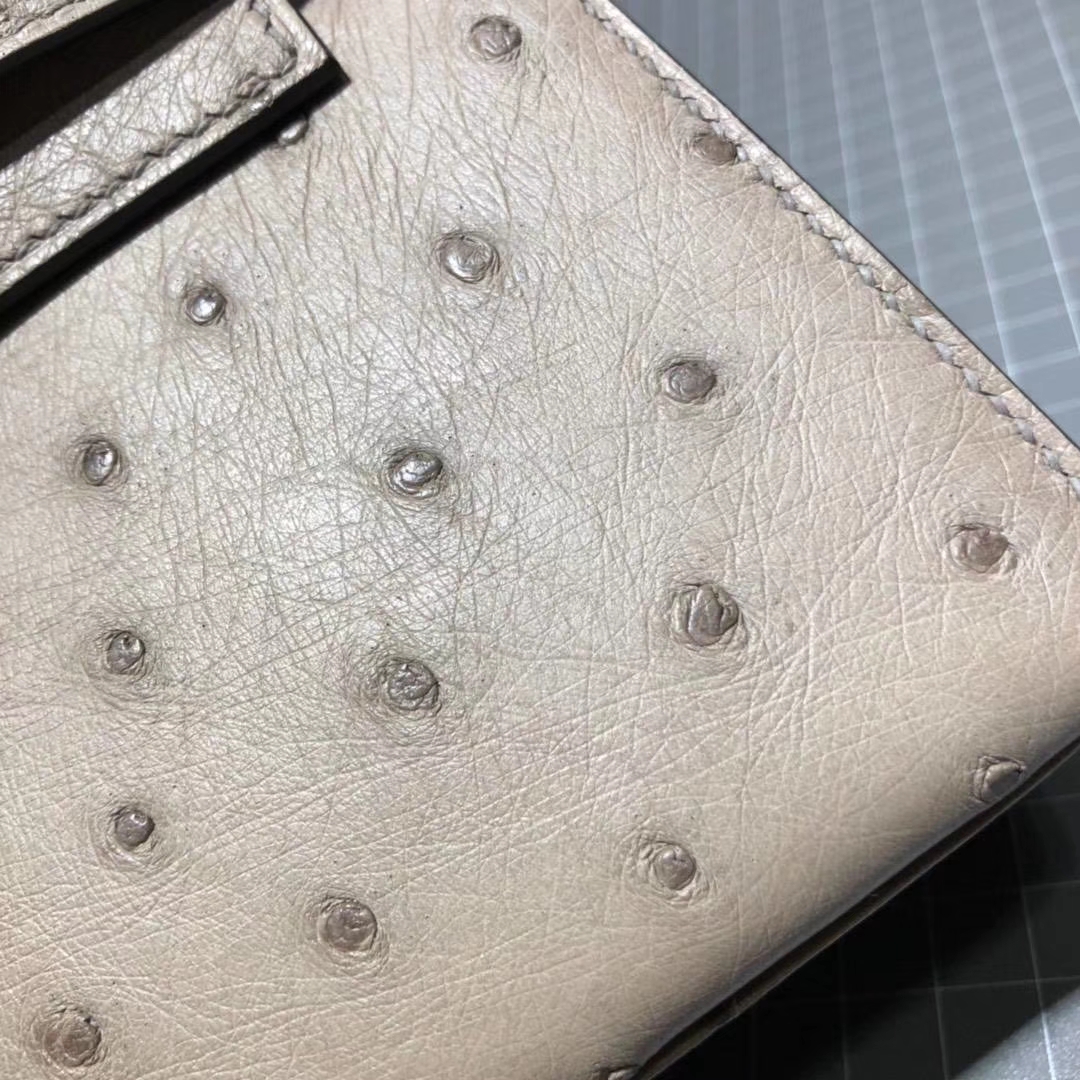 Hermes Minikelly Pochette22cm 爱马仕冰川灰顶级鸵鸟皮迷你凯莉包 金扣