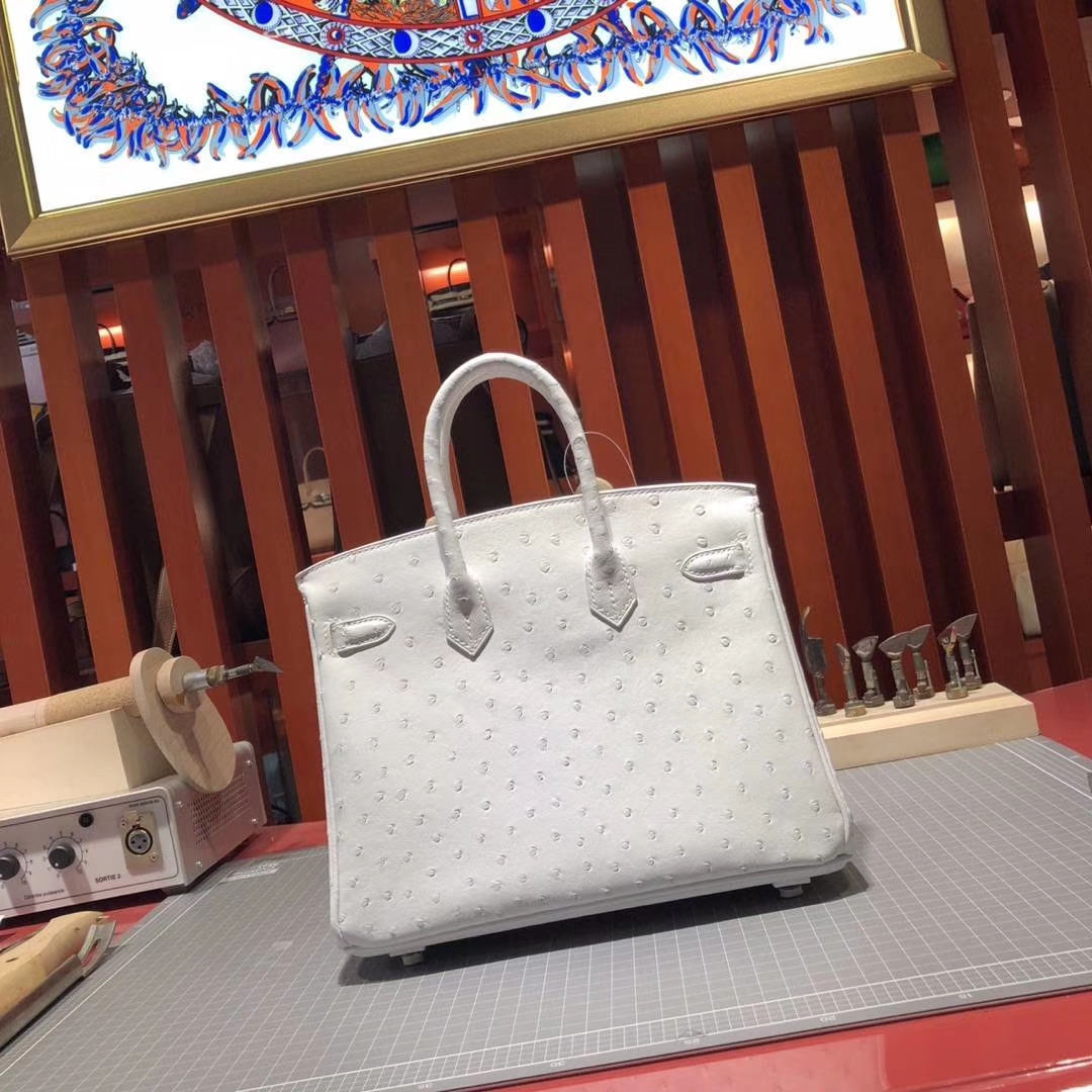 Hermes Birkin25CM 爱马仕纯白色顶级KK鸵鸟皮铂金包 银扣