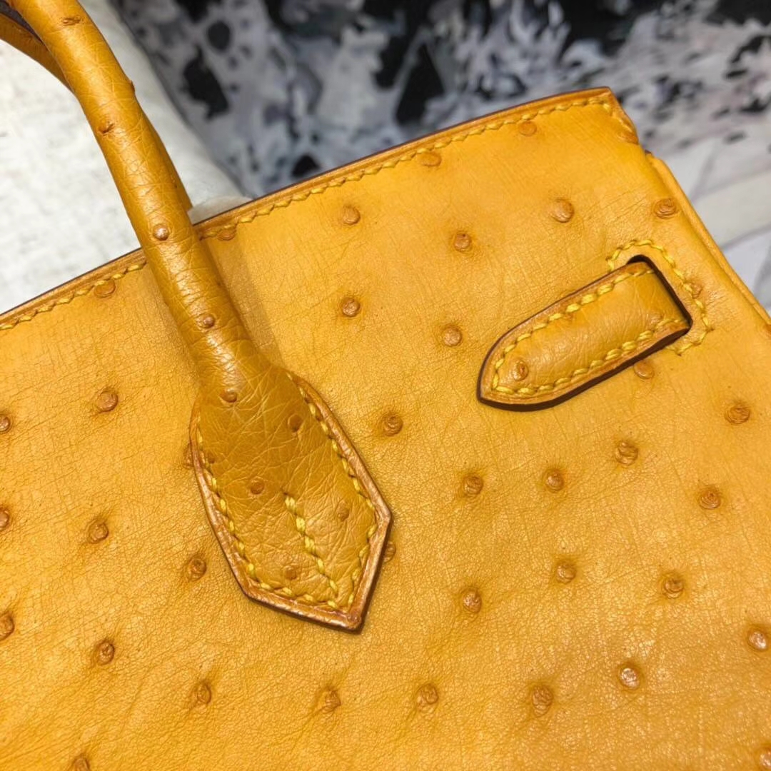 Hermes Birkin25CM 爱马仕原厂顶级鸵鸟皮铂金包 大黄色 金扣