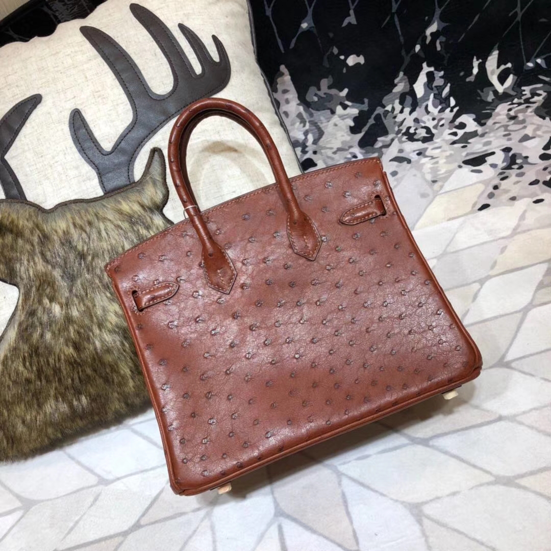 Hermes包包官网 爱马仕红棕色顶级鸵鸟皮Birkin25铂金包 金扣