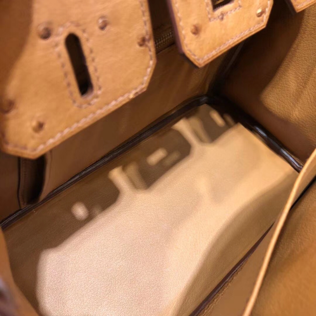 爱马仕铂金包价格 Hermes Birkin25CM 土黄色顶级鸵鸟皮 银扣