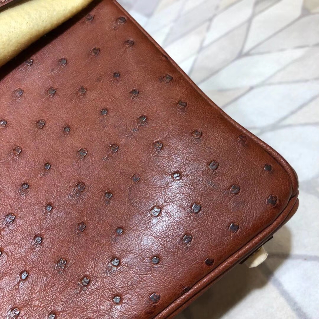 Hermes包包官网 爱马仕红棕色顶级鸵鸟皮Birkin25铂金包 金扣