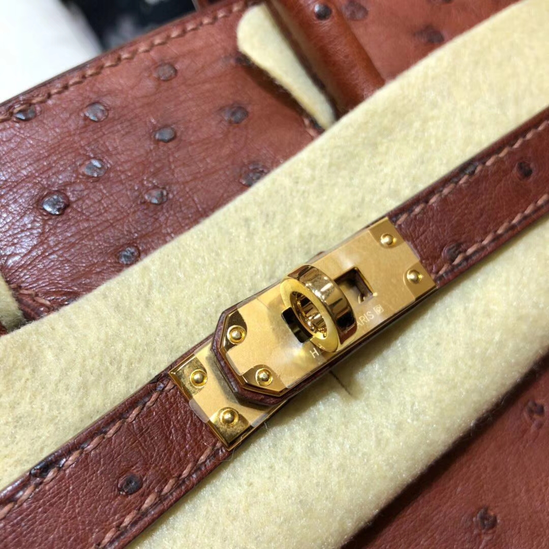 Hermes包包官网 爱马仕红棕色顶级鸵鸟皮Birkin25铂金包 金扣