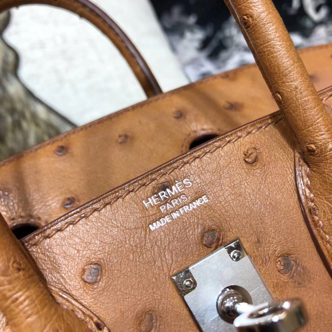 爱马仕铂金包价格 Hermes Birkin25CM 土黄色顶级鸵鸟皮 银扣