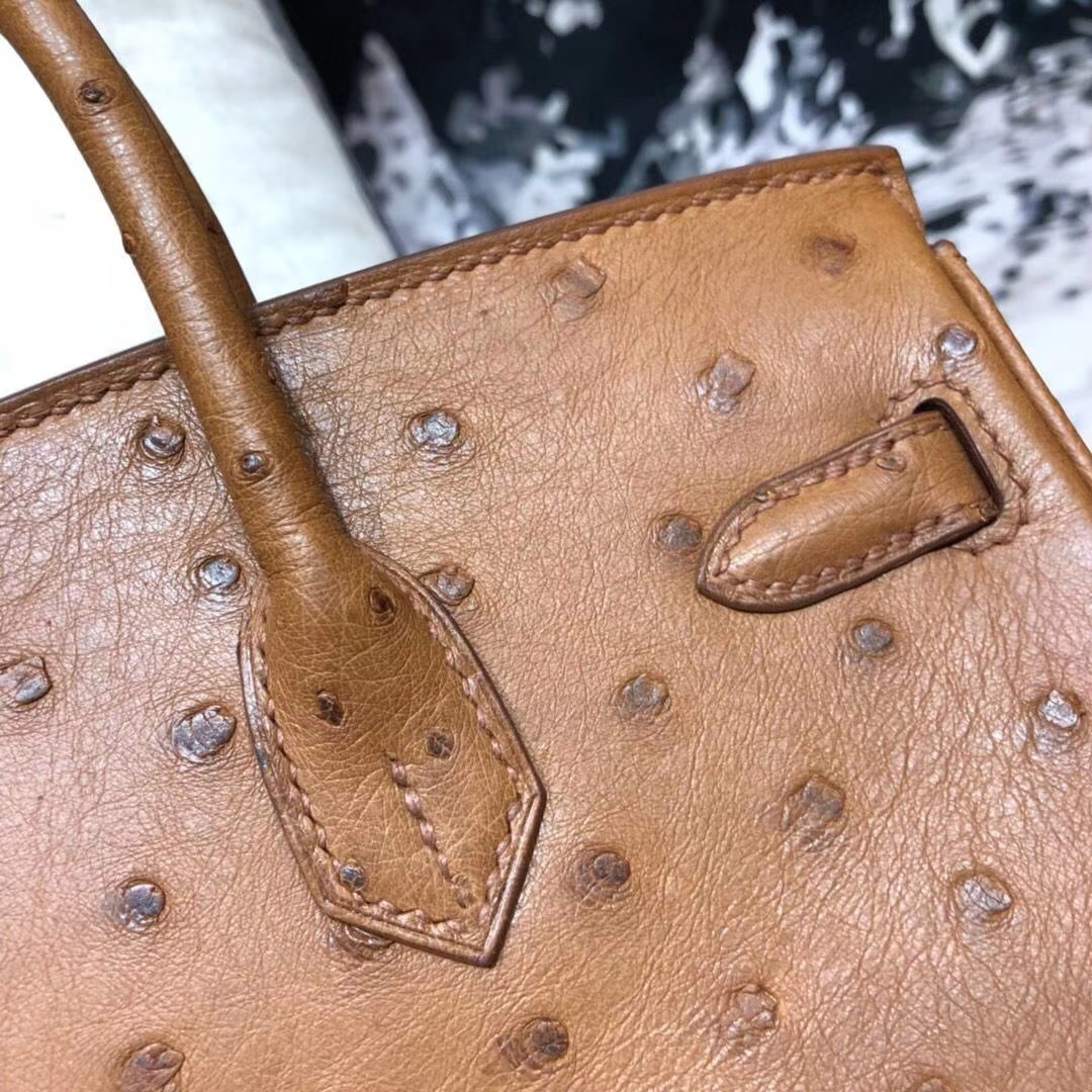 爱马仕铂金包价格 Hermes Birkin25CM 土黄色顶级鸵鸟皮 银扣
