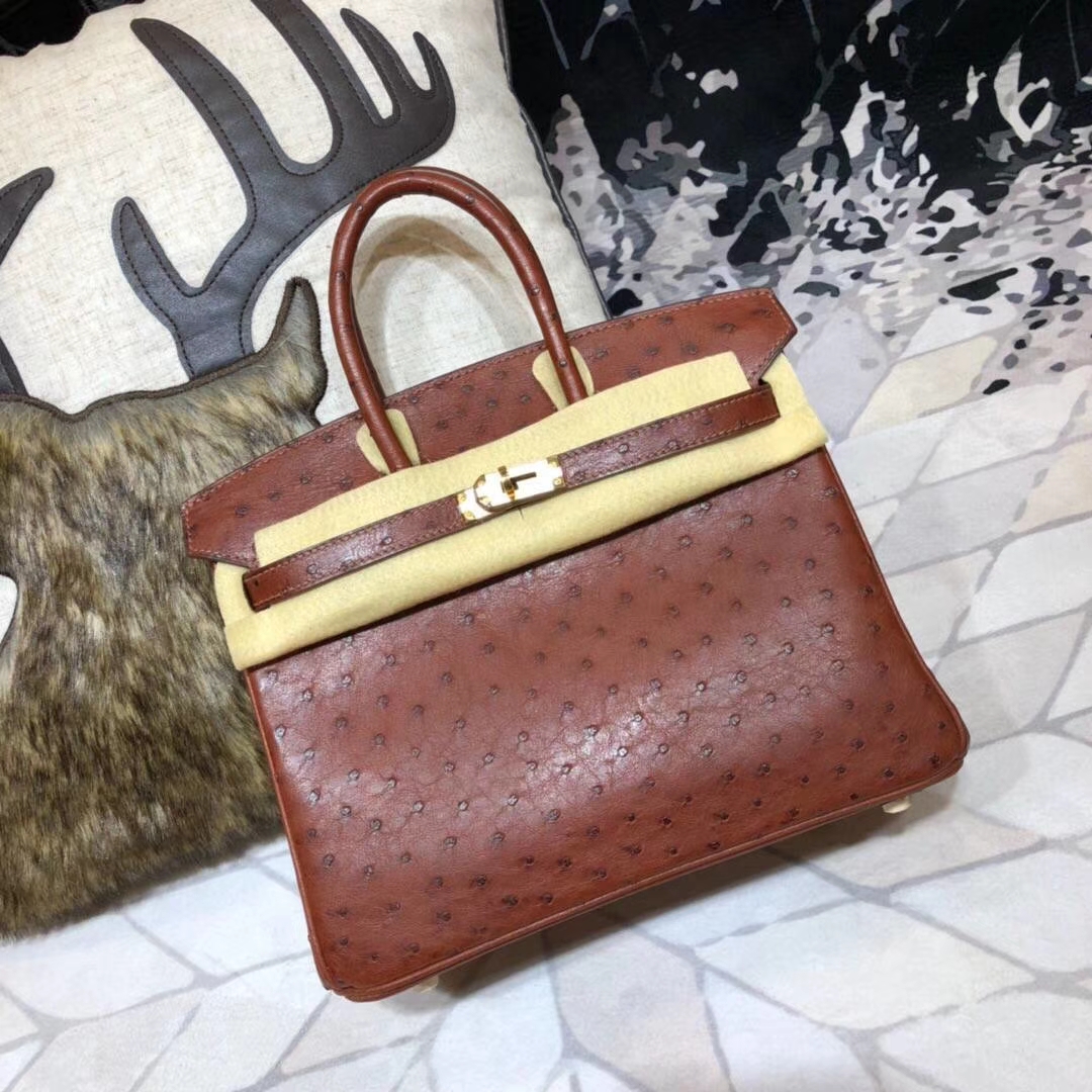 Hermes包包官网 爱马仕红棕色顶级鸵鸟皮Birkin25铂金包 金扣
