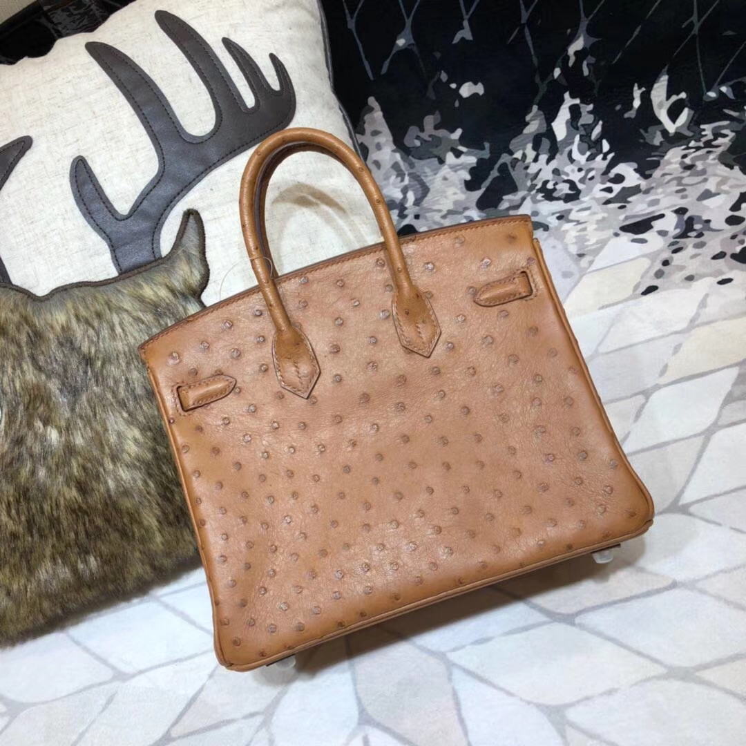 爱马仕铂金包价格 Hermes Birkin25CM 土黄色顶级鸵鸟皮 银扣