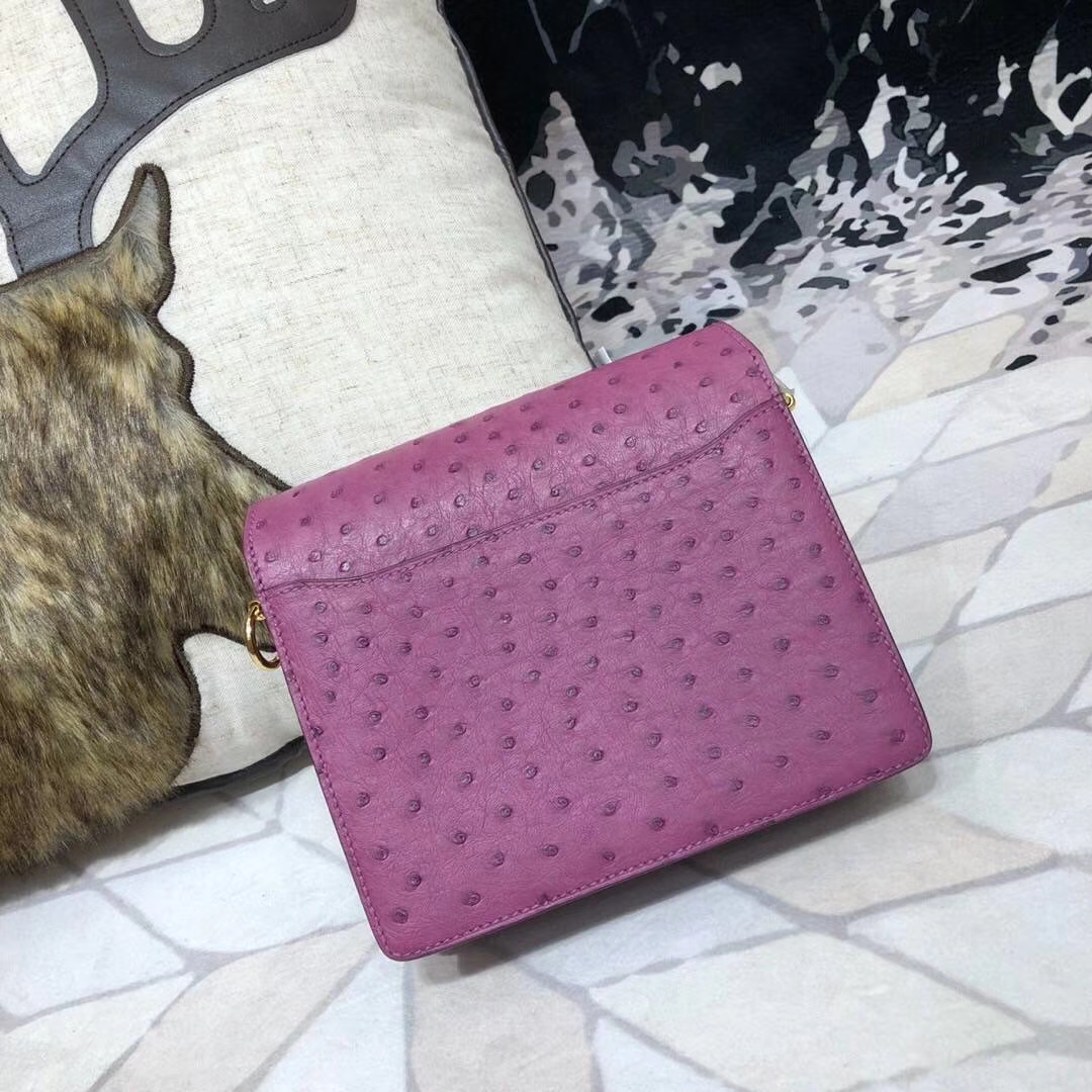 爱马仕猪鼻子包 Hermes Roulis18CM 海葵紫南非鸵鸟皮单肩斜挎包 金扣