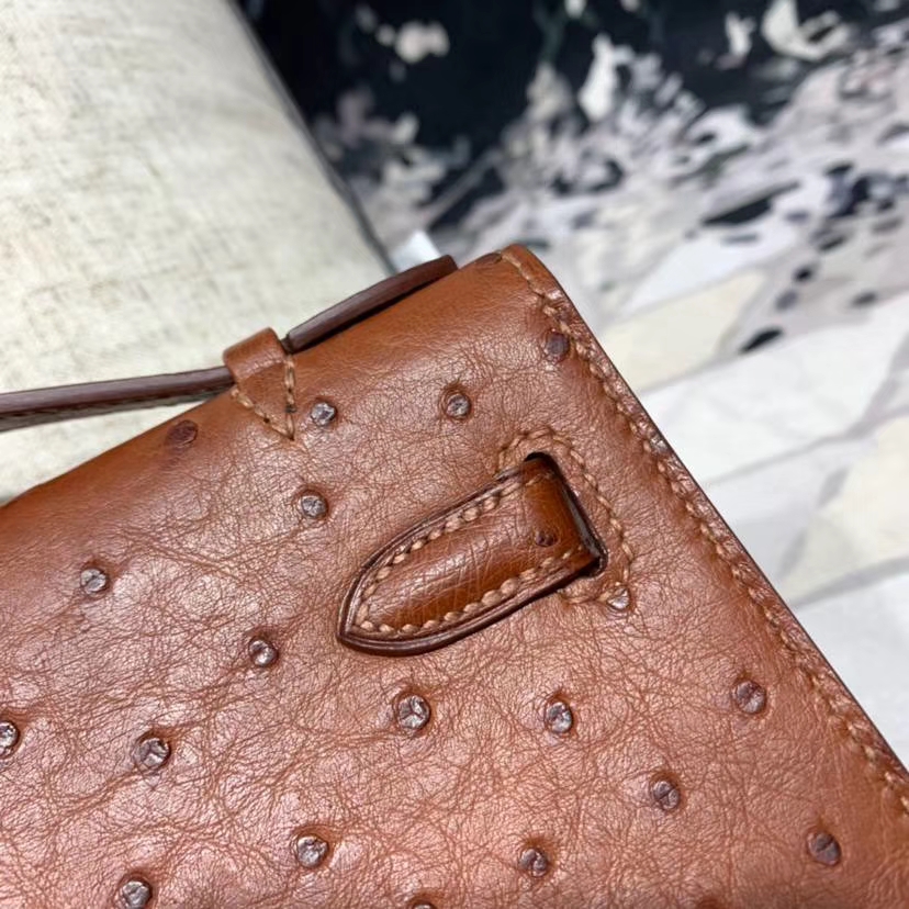 爱马仕迷你凯莉包 Hermes古铜色南非鸵鸟皮Minikelly Pochette22CM 金扣