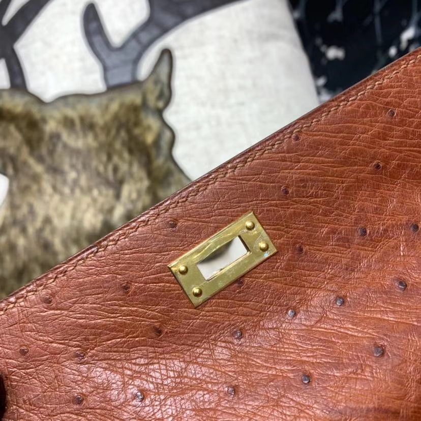 爱马仕迷你凯莉包 Hermes古铜色南非鸵鸟皮Minikelly Pochette22CM 金扣