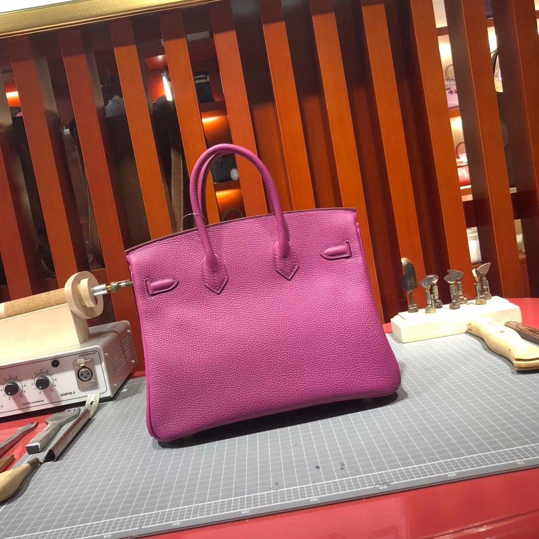 Hermes包包定制 爱马仕L3玫瑰紫法国顶级Togo皮铂金包Birkin25CM 金扣