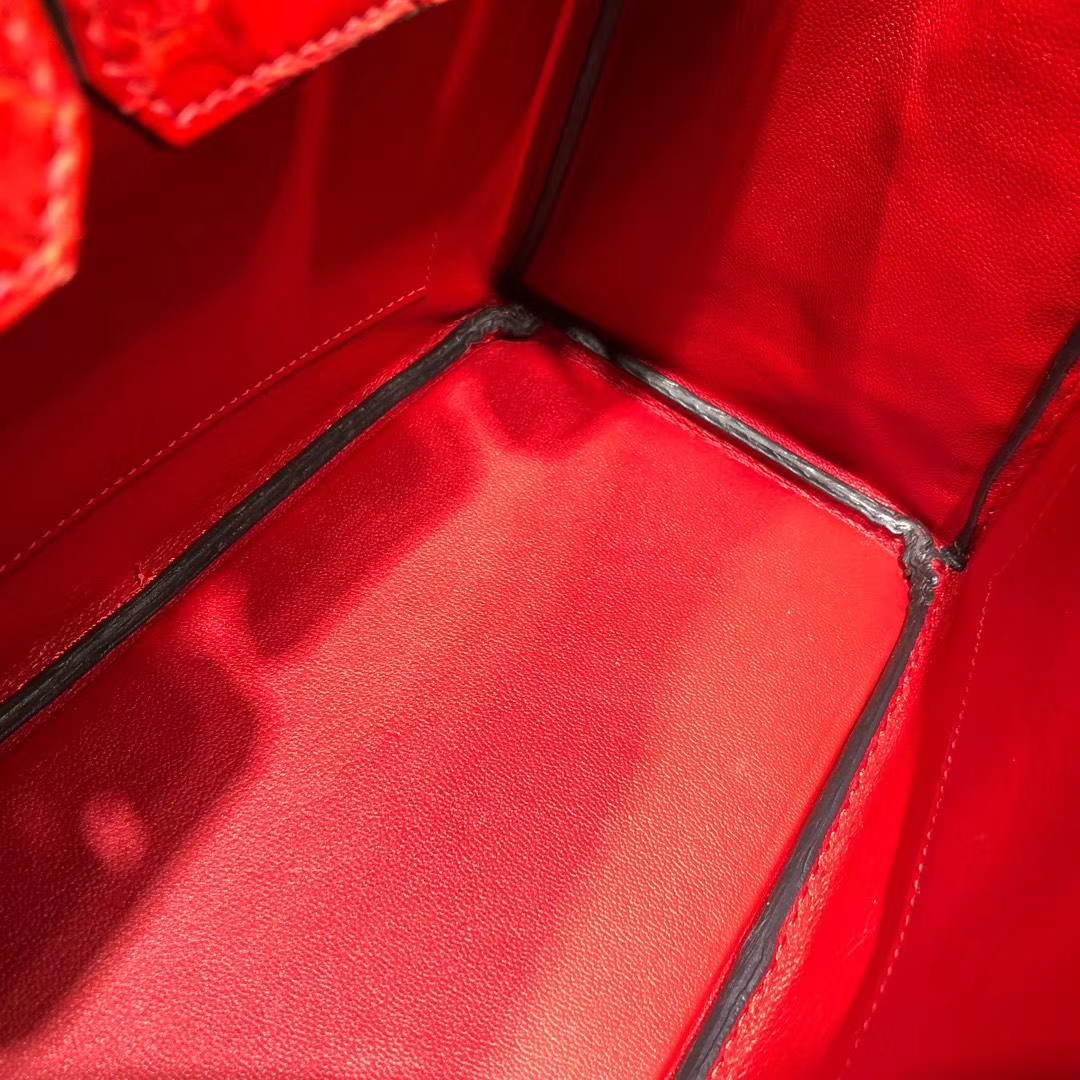 爱马仕Birkin女包 Hermes Birkin25CM S5番茄红非洲蛇皮铂金包 金扣
