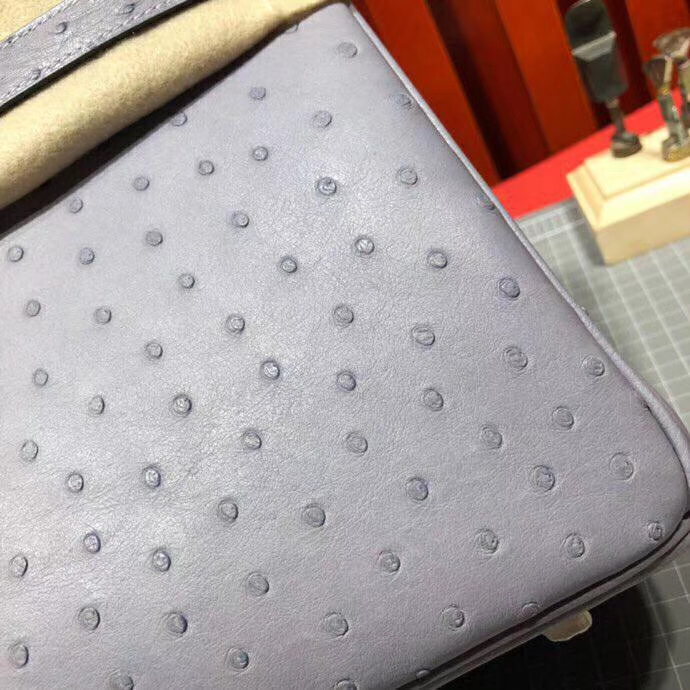 爱马仕女包价格 Hermes南非顶级鸵鸟皮铂金包Birkin30CM 9P薰衣草紫 金扣