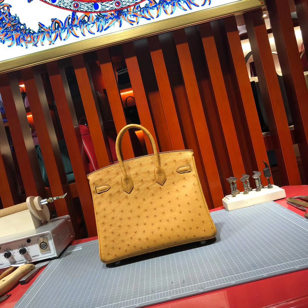 爱马仕铂金包价格 Hermes Birkin25CM 琥珀黄南非鸵鸟皮 金扣