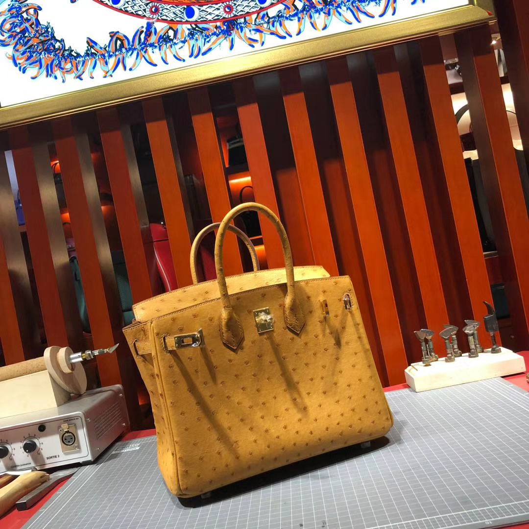 爱马仕铂金包价格 Hermes Birkin25CM 琥珀黄南非鸵鸟皮 金扣