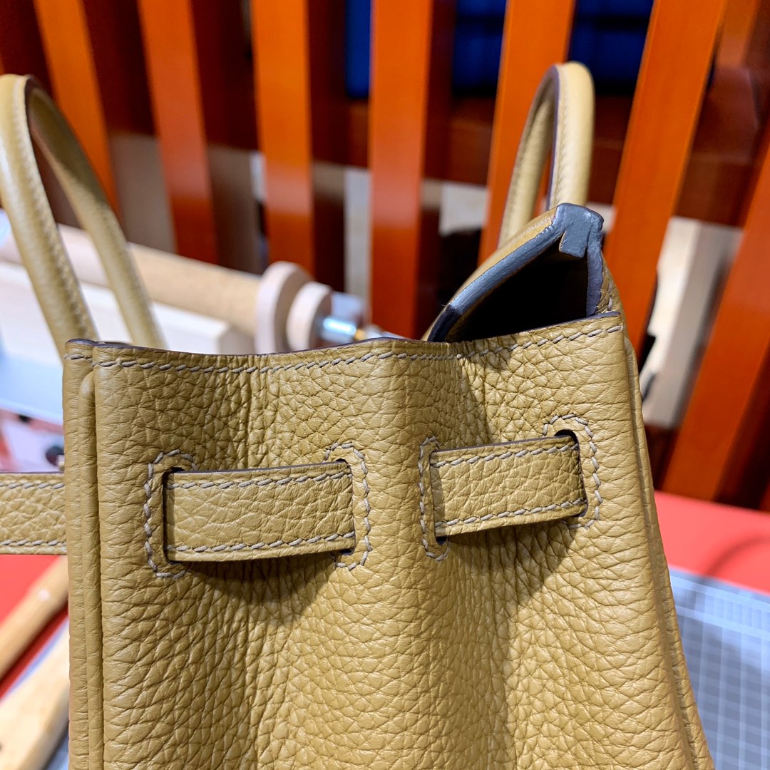 现货 Hermes Birkin25cm 爱马仕D0威玛犬米色Togo小牛皮铂金包 金扣/银扣